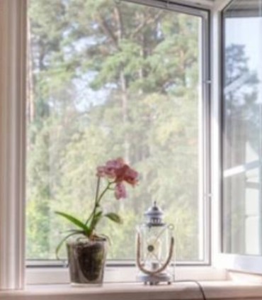 Mosquiteras enrollables